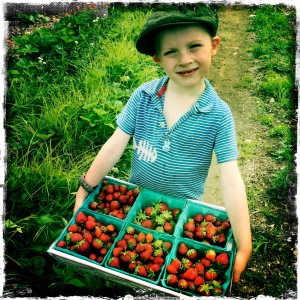 boy with berries